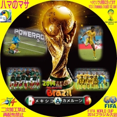 ワールドカップ2014ブラジル　A　ファーストゲーム