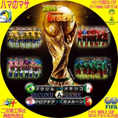 ワールドカップ2014ブラジル A セカンドゲーム
