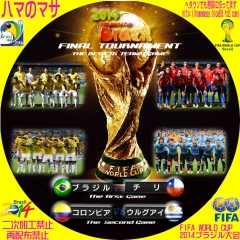 ワールドカップ2014ブラジル　ベスト１６　0102
