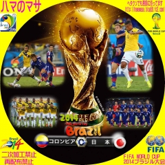 ワールドカップ2014ブラジル C　コロンビアVS日本