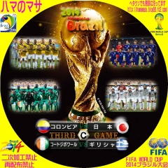 ワールドカップ2014ブラジル C　サードゲーム