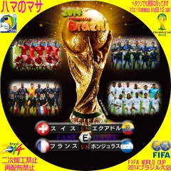 ワールドカップ2014ブラジル　E　 FAST　GAME