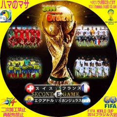 ワールドカップ2014ブラジル E　セカンドゲーム