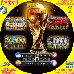 ワールドカップ2014ブラジル　E　サードゲーム