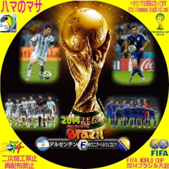 ワールドカップ2014ブラジル F　アルゼンチンVSボスニア