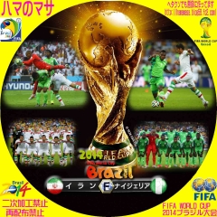 ワールドカップ2014ブラジル F　イランVSナイジェリア