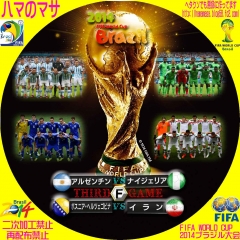ワールドカップ2014ブラジル　F　サードゲーム