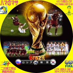 ワールドカップ2014ブラジル H　ロシアVS韓国