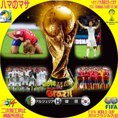ワールドカップ2014ブラジル　H　ｱﾙｼﾞｪﾘｱVS韓国