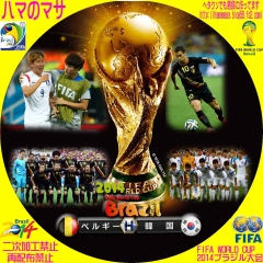 ワールドカップ2014ブラジル　H　ﾍﾞﾙｷﾞｰVS韓国