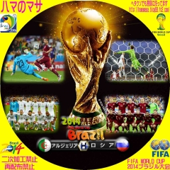 ワールドカップ2014ブラジル　H　ｱﾙｼﾞｪﾘｱVSﾛｼｱ