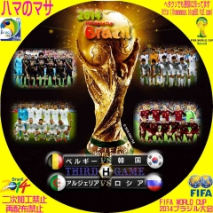 ワールドカップ2014ブラジル　H　サードゲーム