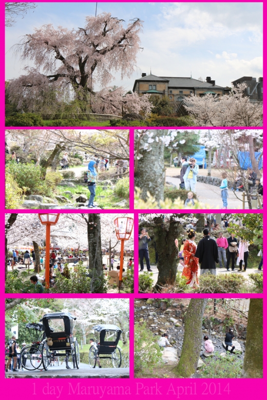 円山公園2014年4月2日-1