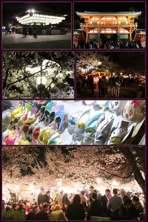 円山公園2014年4月2日-3